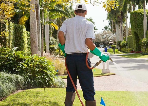 About Newton NC Pest Control Pros